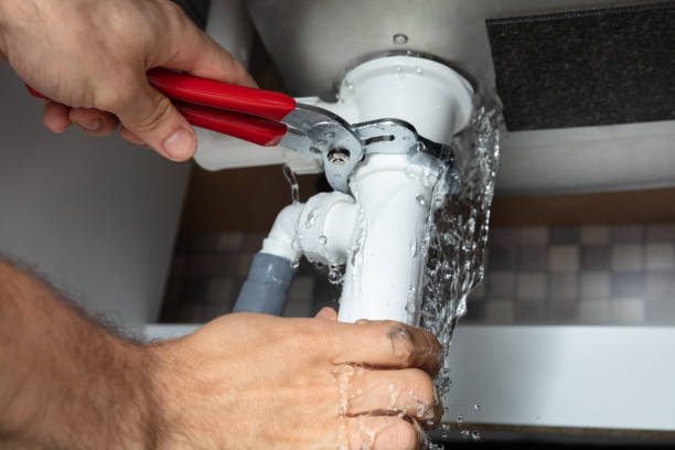 Best Mold removal after water damage  in Winder, GA