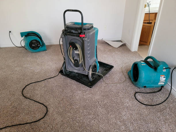 Best 24-hour water damage restoration  in Winder, GA