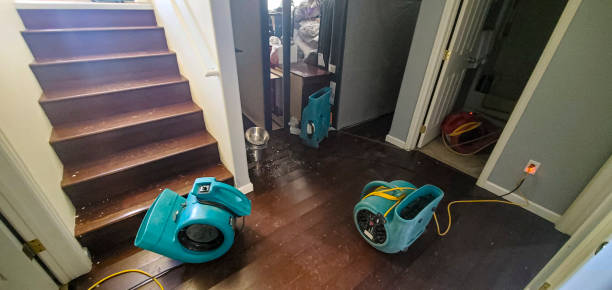  Winder, GA Water damage restoration Pros