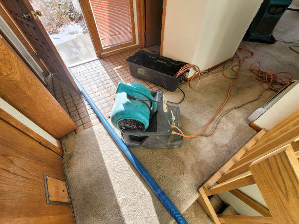 Best Water damage restoration near me  in Winder, GA