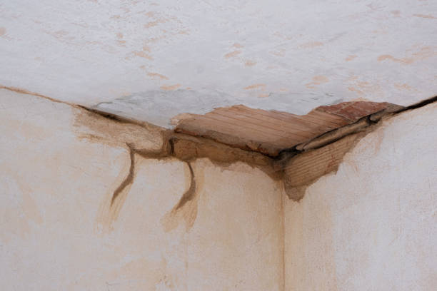 Best Carpet water damage restoration  in Winder, GA
