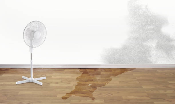 Best Flooded house restoration  in Winder, GA