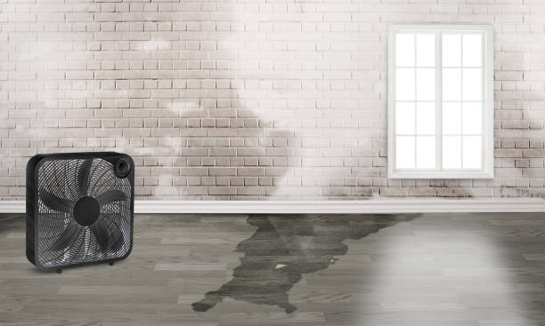 Best Flood restoration services  in Winder, GA