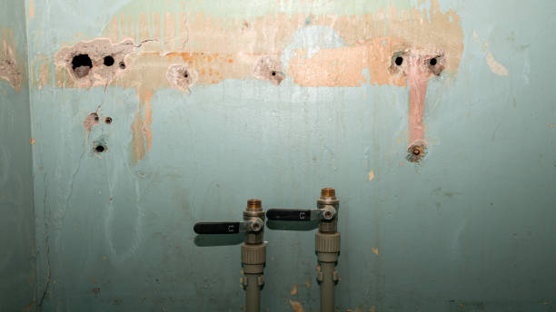 Best Basement water damage restoration  in Winder, GA