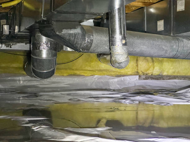 Best Sewage cleanup and water damage restoration  in Winder, GA