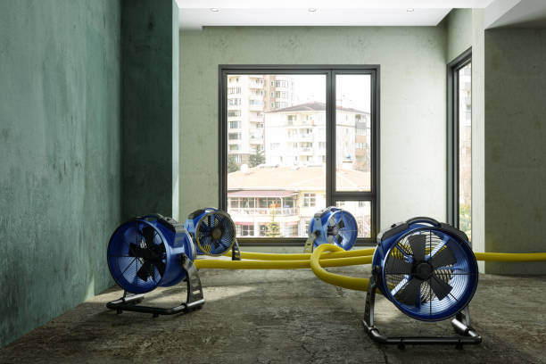Best Commercial water damage restoration  in Winder, GA